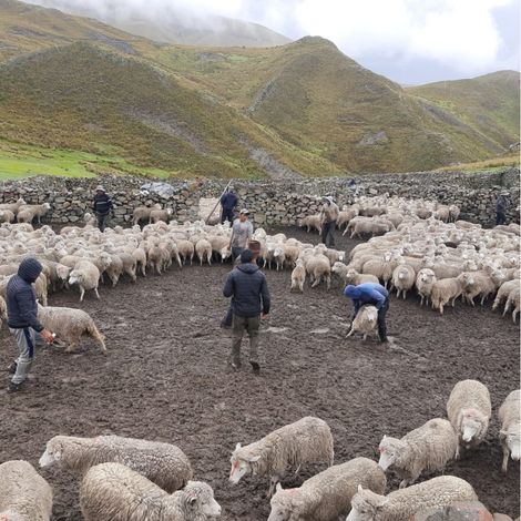 Comunidad Campesina de Ecash